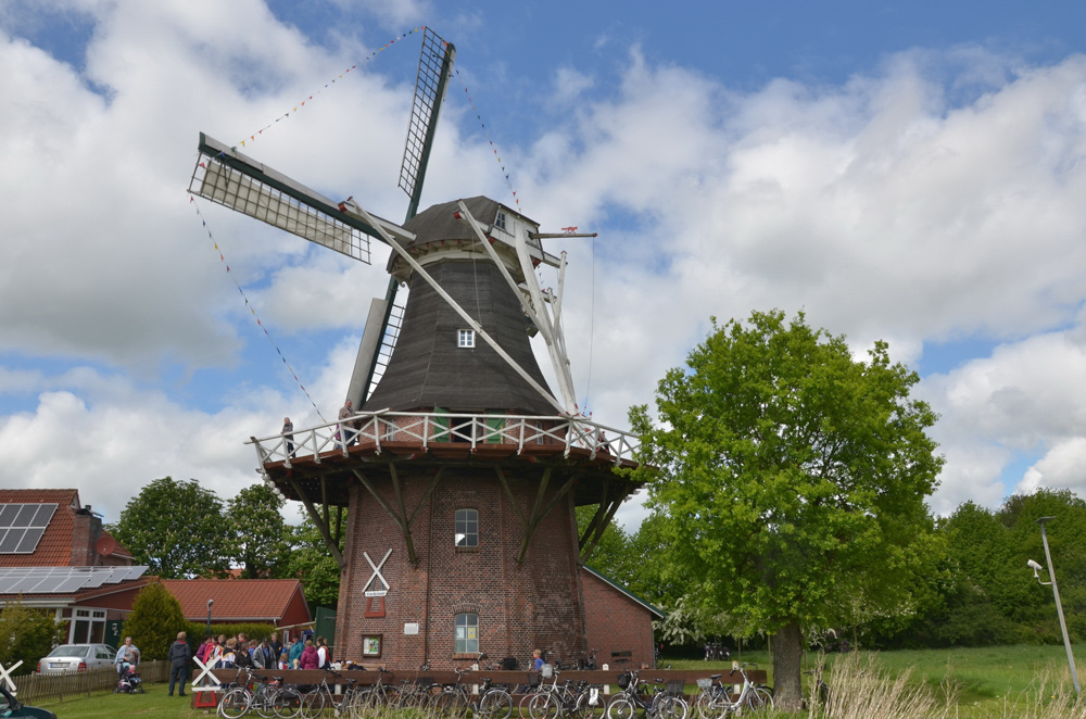 Deutscher Mühlentag 2016 in Schweindorf, Mühle Klaashen